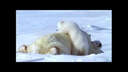 The White Planet - on Dvd 3 2008, Uk release_(360p)