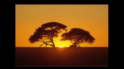 Xavier Naidoo - Ich kenne nichts 