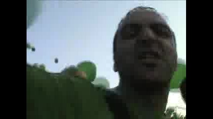Kupa 2005