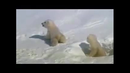 Creation Calls / Brian Doerksen - I believe