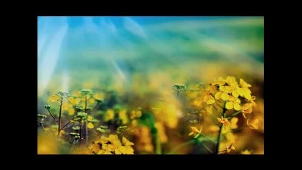 The Power of Love- Nana Mouskouri