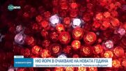 Церемониално поставиха последния кристал в „Топката на съзвездието" в Ню Йорк