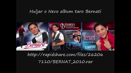 Bernat 2010