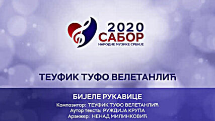 Teufik Tufo Veletanlic - Bijele rukavice Sabor narodne muzike Srbije 2020.mp4