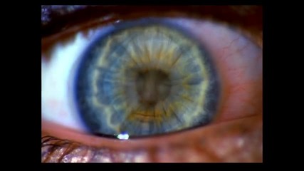 Moby - Porcelain
