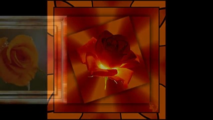 Roses Galery ... ... (music Nicolas De Angelis) ... ...