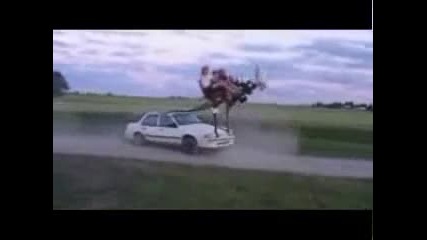 Когато Няма пари за лунапарк