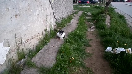 Sam_9056
