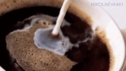Чаша Кафе- Тони Димитрова и Пламен Ставрев