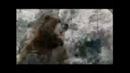 Funy Comercial