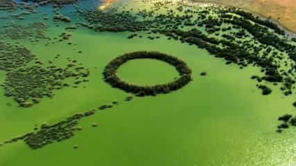 Електромобилът на Nissan