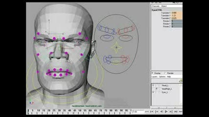 Face Rig