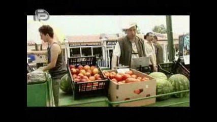 Аламинут - 11.11.2008г