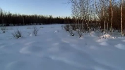 National Geographic - Дивата Природа : Вълците в Сибир