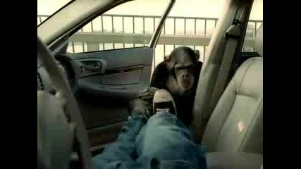 Смешна Реклама На Аларма За Кола С Маймуна