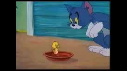 Tom and Jerry - Ugly duckling