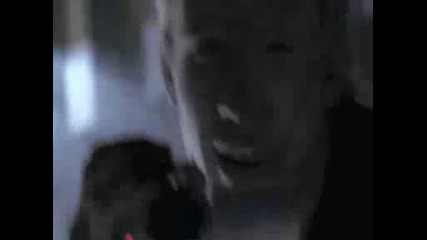 Здрач - Фен Видео