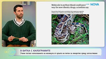 Питонът вдъхнови нов метод за отслабване | На кафе | 20 мар. 2026