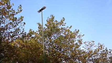 Изградена беше статуя в чест на звездата Жан - Клод Ван Дам в родния му град Брюксел