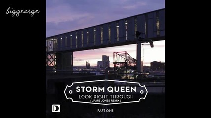 Storm Queen - Look Right Through ( Jamie Jones Remix ) [high quality]