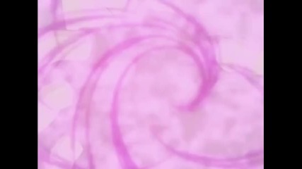 Naruto - Uncut - Episode - 179