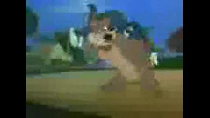 Tom And Jerry Da Budej Preban