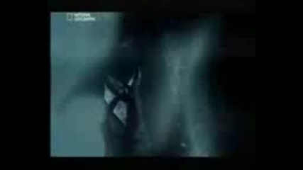 National Geographic Is it real? Chost Ships / Вярно Ли Е ? Кораб - Призрак 