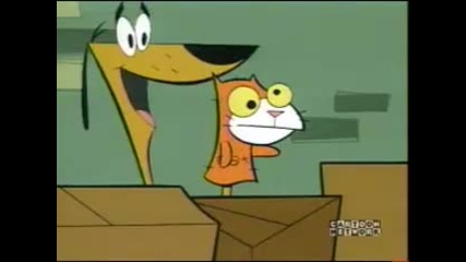 Two Stupid Dogs - Cat! 