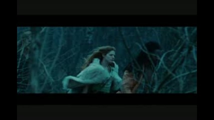 Apocalyptica - I Dont Care( Twilight Version)