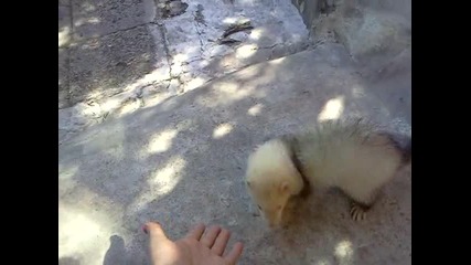 Mov20110421_002