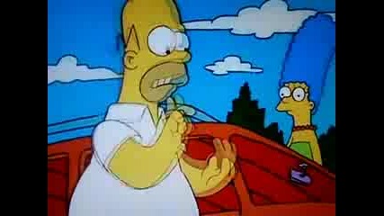 Los Simpson - Puntazos - Homer Universitario 