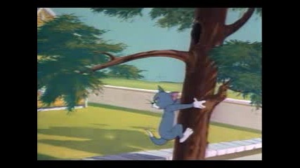 076. Tom & Jerry - Thats My Pup (1953)