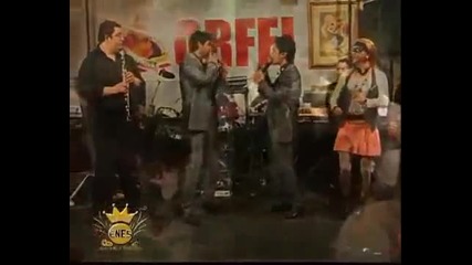 Bernat & Ervin