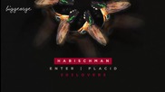 Habischman - Enter ( Original Mix )