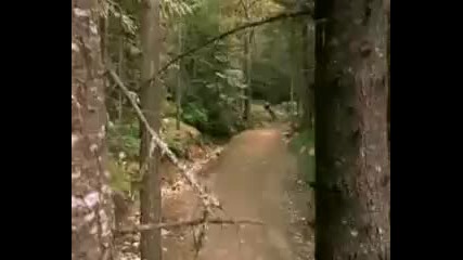 Roam - Downhill Section 
