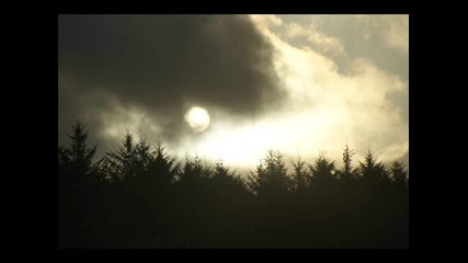 Robert Gitelman - As You Wish