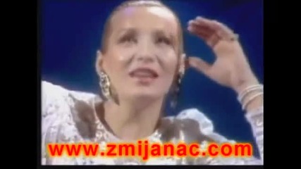 Vesna Zmijanac - Leto 1988