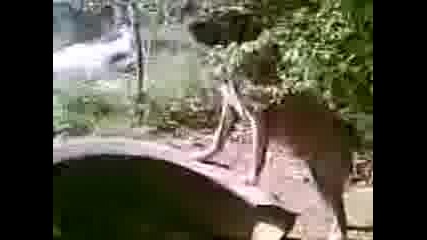 Video009.3gp