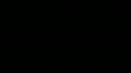 Спорт за шампиони
