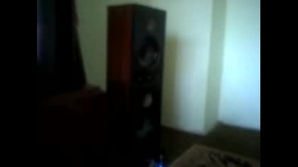 Bass