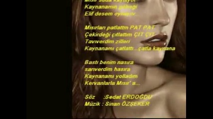 cingene roman sark s m s r