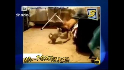 Не правете това у дома си!