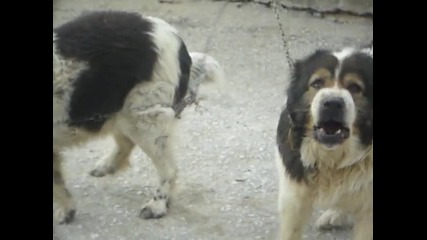Бок