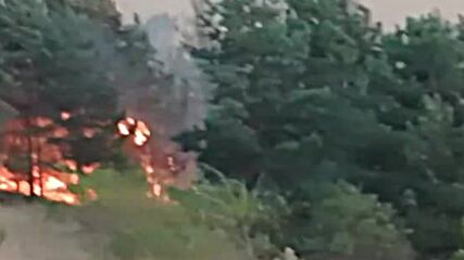 Голям пожар край Невестино, Кюстендилско