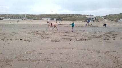 Северно море - Катуик / North Sea - Katwijk 3