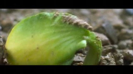 Dj Aligator Feat. Bijan Mortazavi - Never Forget 