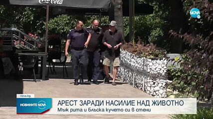 Арестуваха мъж заради насилие над животно