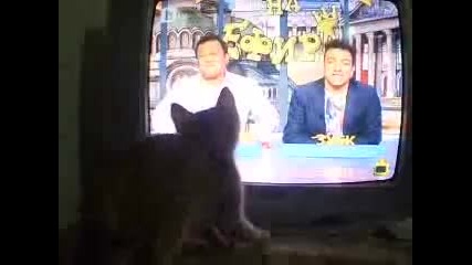 fen na gospodari na efira