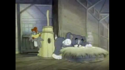 Tom And Jerry - Fine Feathered Friend (1942)