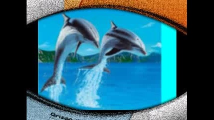 Delfincheta Lubimite Mi Jivotni